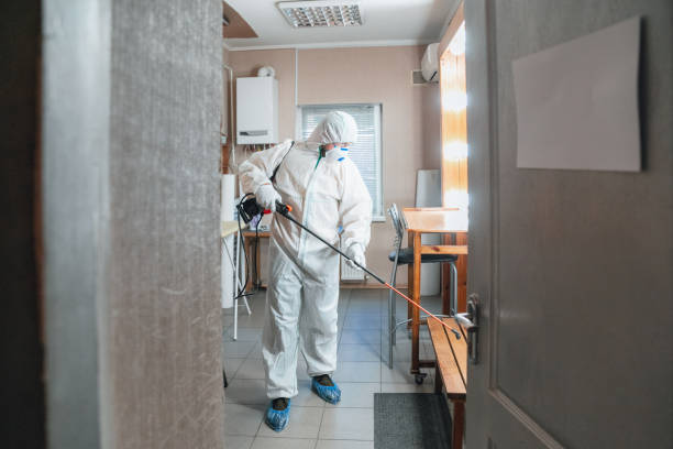 Best Emergency Mold Remediation  in Immokalee, FL