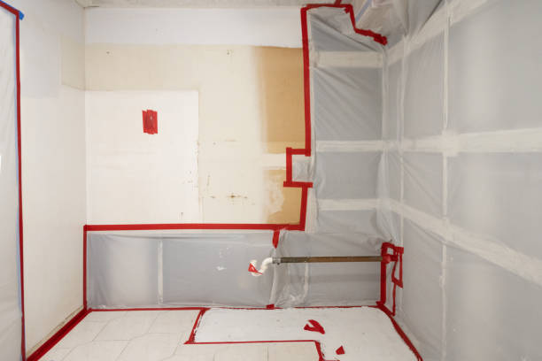 Best Mold Odor Removal Services  in Immokalee, FL